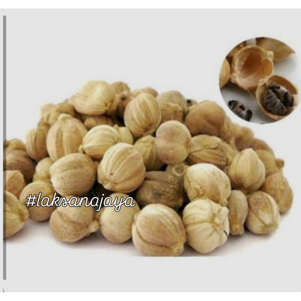 

Kapulaga/cardamom/woreng rempahurah