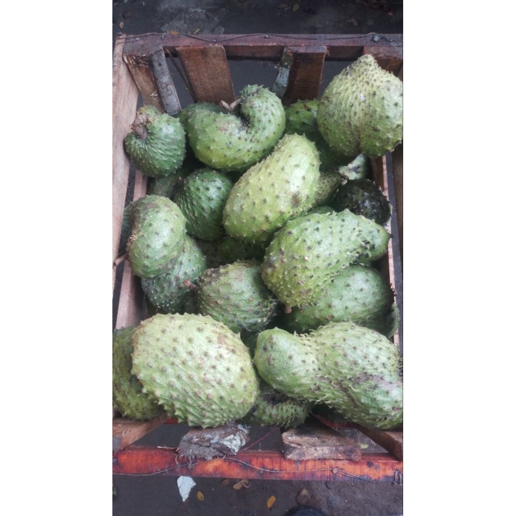 

sirsak madu 1kg