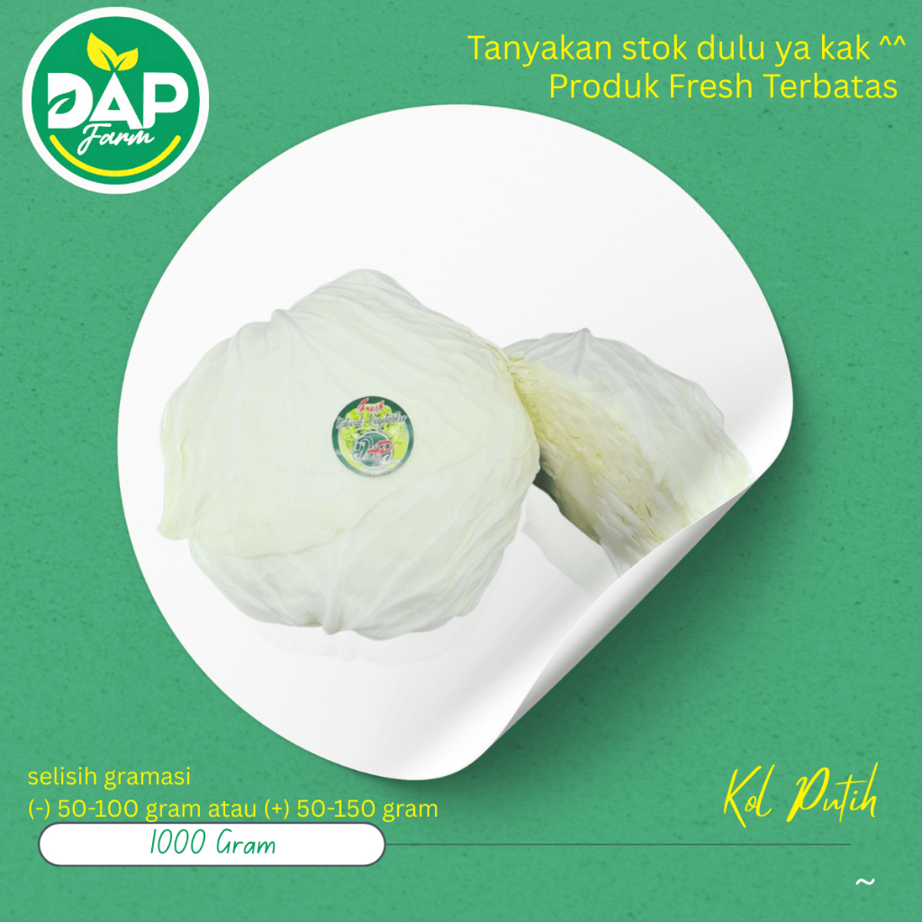 

Kol Putih/ Kubis / DAP Farm / Sayur Segar Jakarta