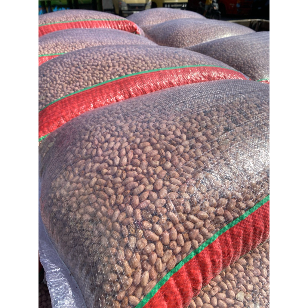 

Kacang kupas tanah jawa