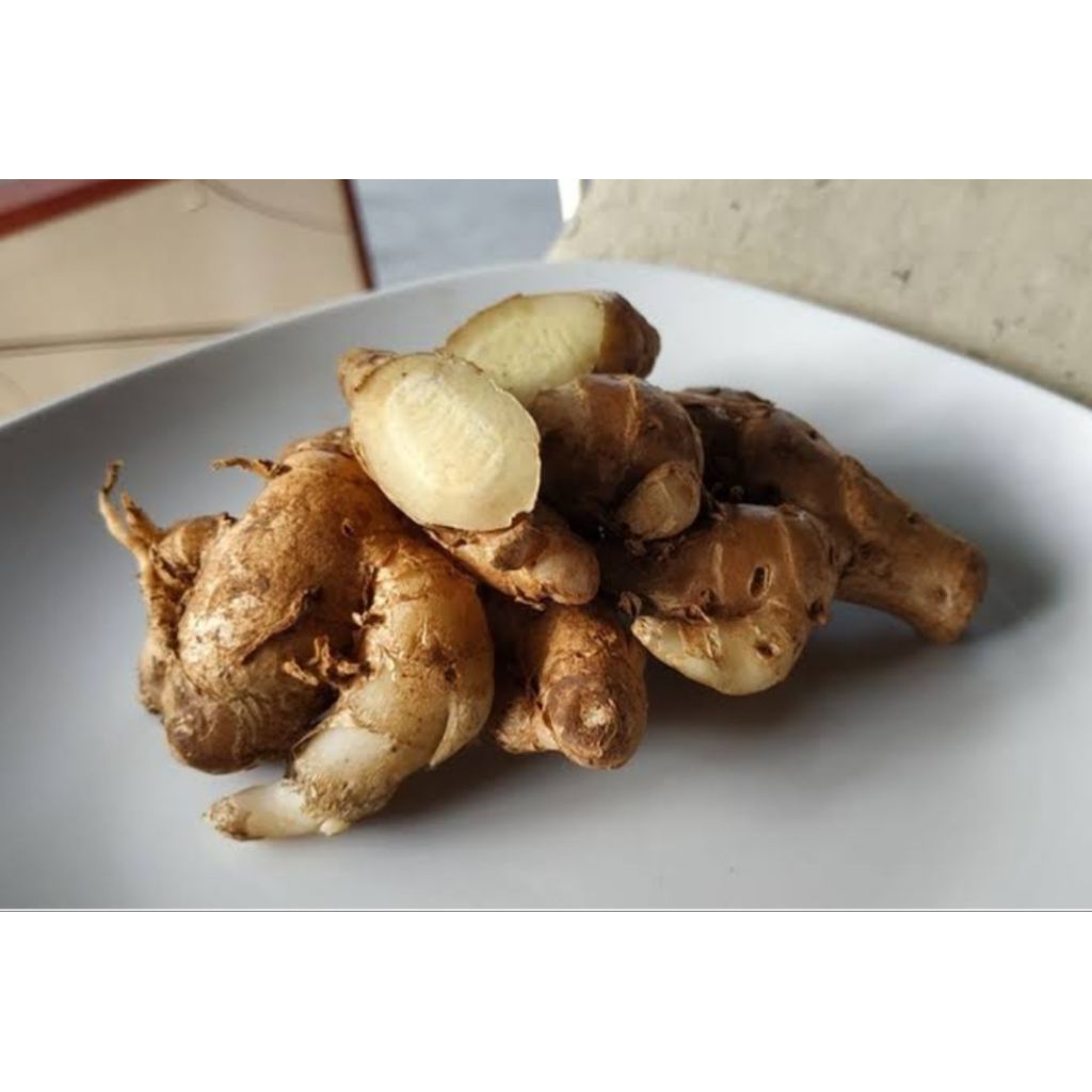

kencur bumbu