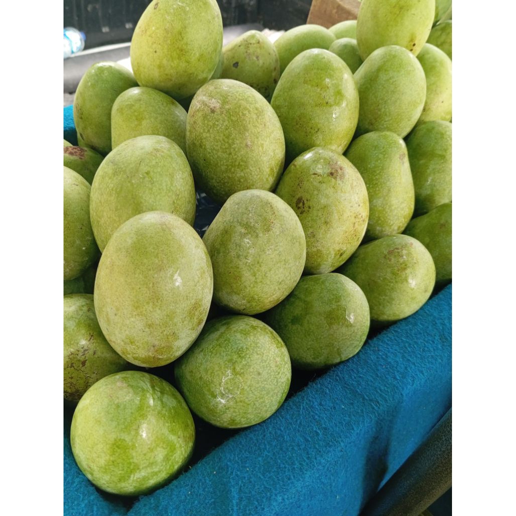 

Mangga Manalagi Lereng Wilis Grade B