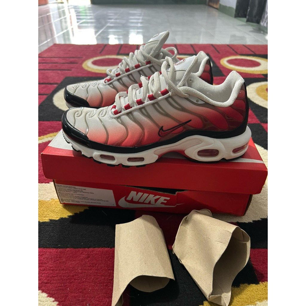 Nike air max plus