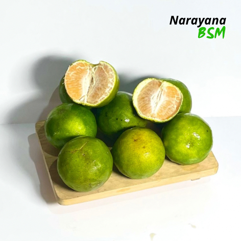 

Buah Jeruk Peras Segar 1.000 Gram