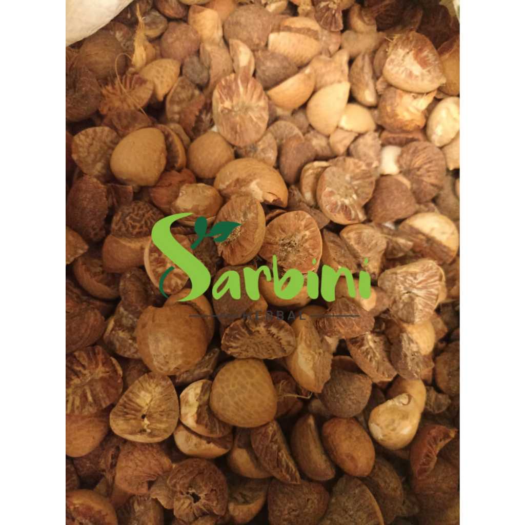 

Pinang Muda / Jambe Muda Kering 100 gram / 250 gram / Simplisia Kering Pinang Muda / Jambe Muda Garansi Terjamin 100% Asli Murni / Bahan Pinang Muda / Jambe Muda Kering/Bahan Pinang Muda Premium / Jamu Herbal Pinang Muda Tradisional Tanpa Bahan pengawet