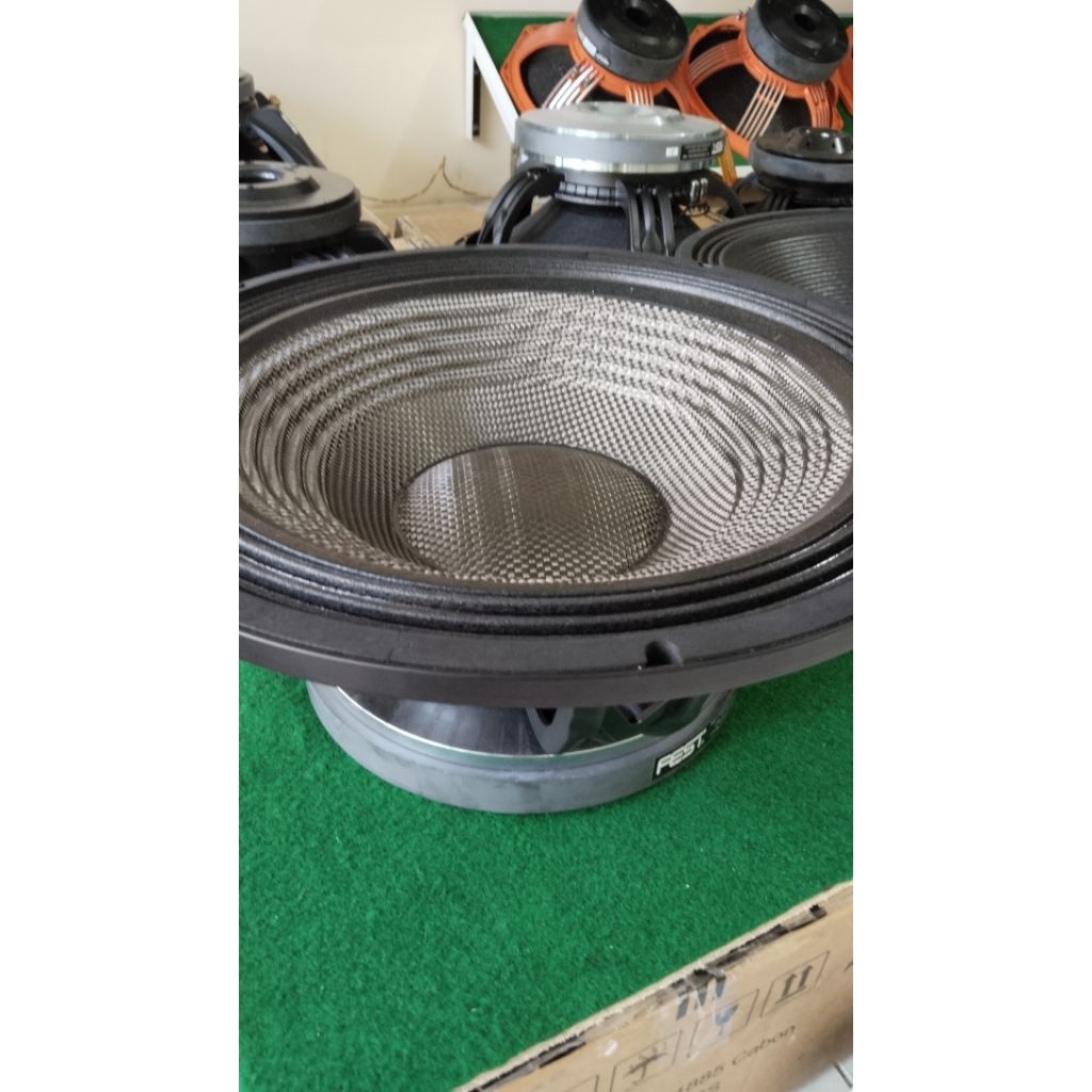 speaker 18 in carbon fest