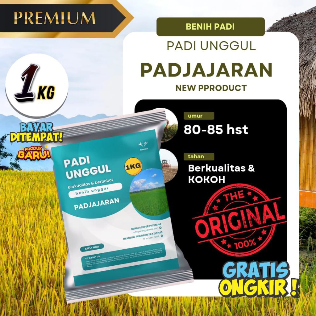 benih padi Pajajaran benih padi berkualitas benih padi unggul dalam kemasan 1kg