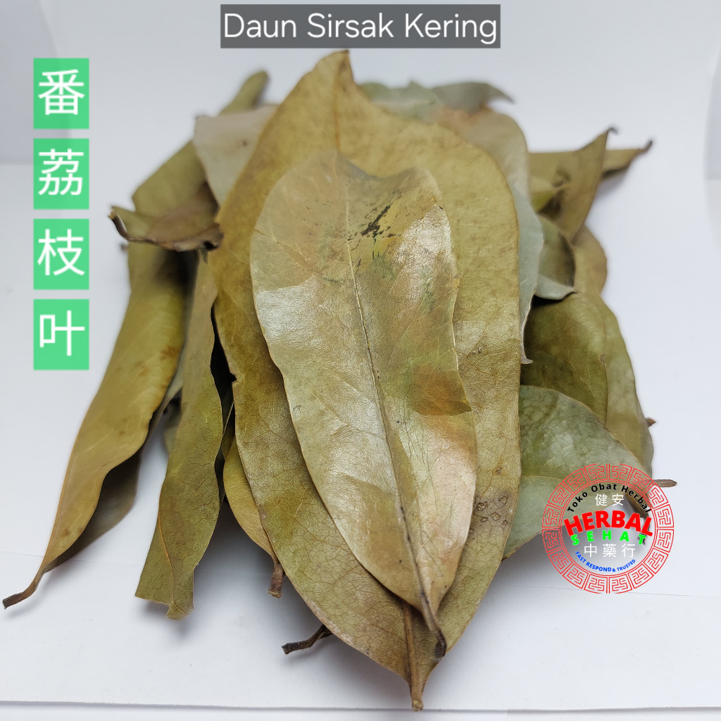 

Daun Sirsak Kering Grade-A 500 gram - Soursop Leaf -Tinggal Rebus