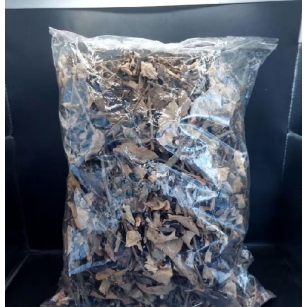 

Benalu Kopi Kering Asli 500Grm Obat Herbal Kanker