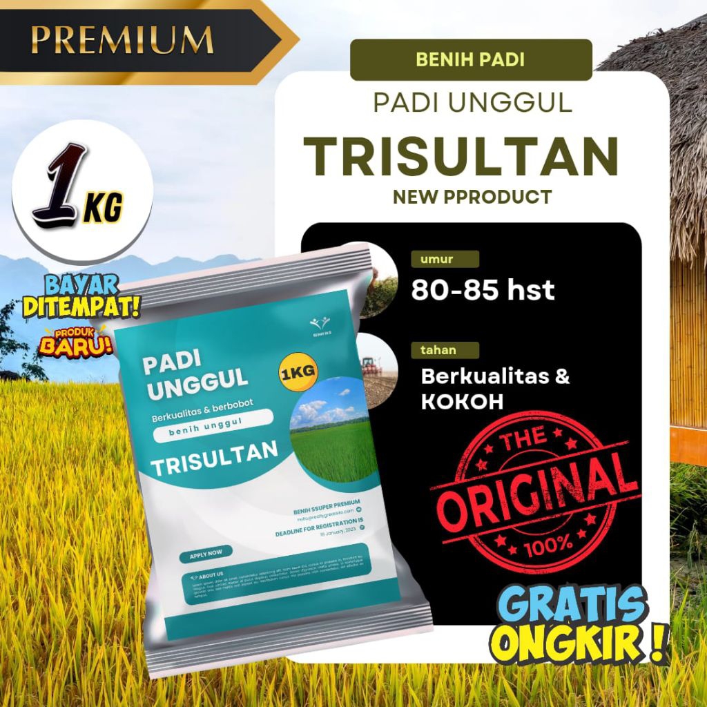 benih padi trisultan benih padi berkualitas benih padi unggul dalam kemasan 1kg