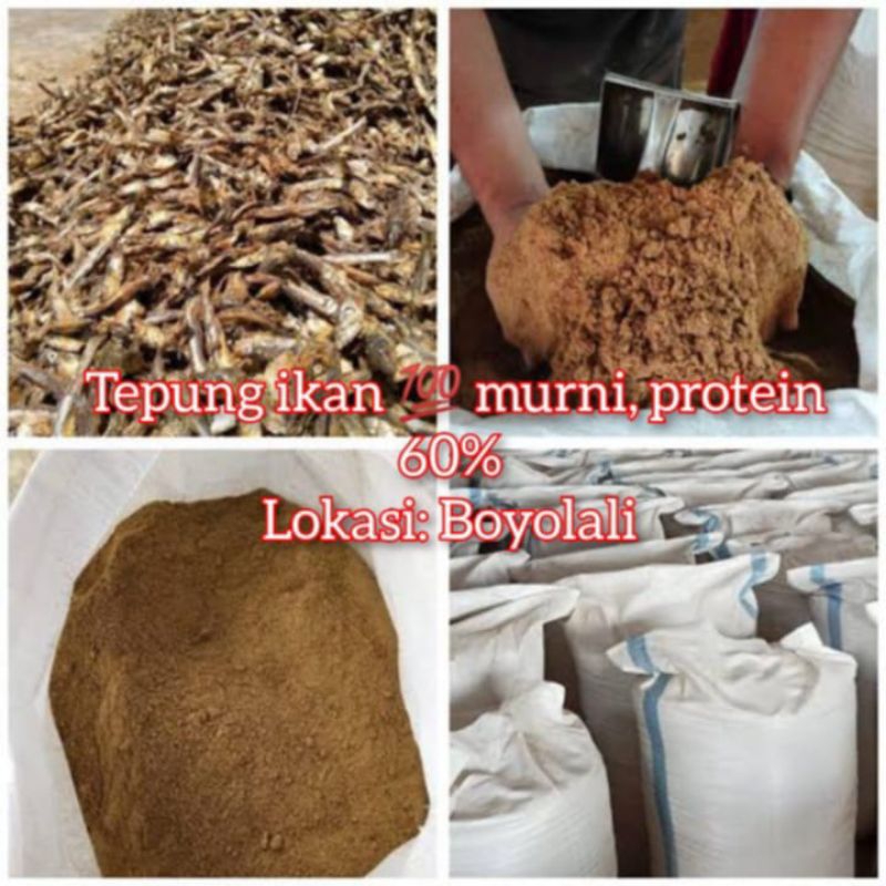 

Tepung ikan murni protein tinggi [1kg]