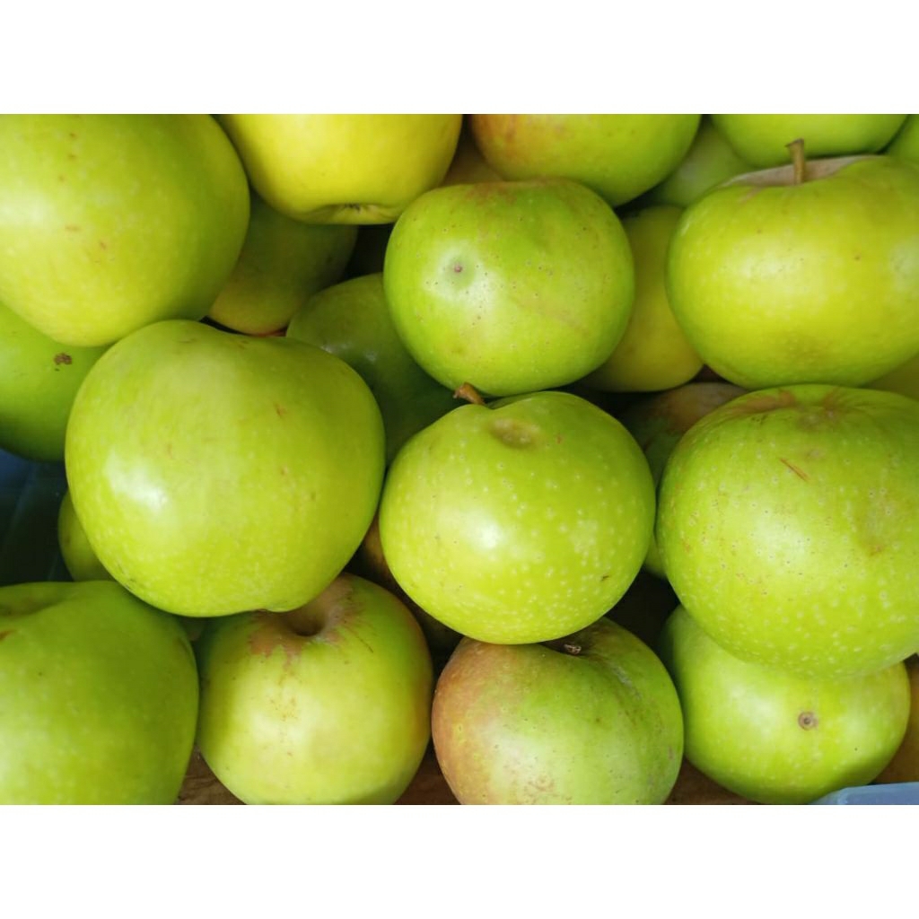 

BUAH APEL HIJAU MANALAGI kg