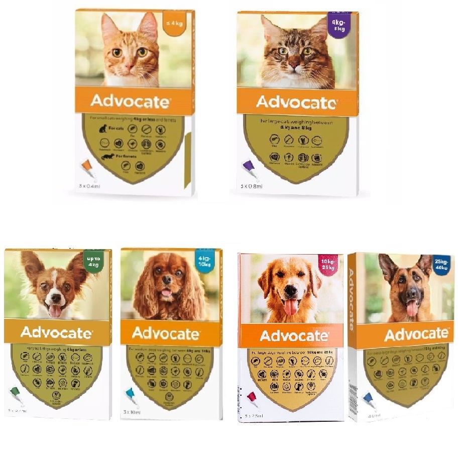 Obat Kutu Anjing Tetes Advocate DOG & CAT ALL VARIAN // Advocate Dog Small / Medium / Large / Extra 