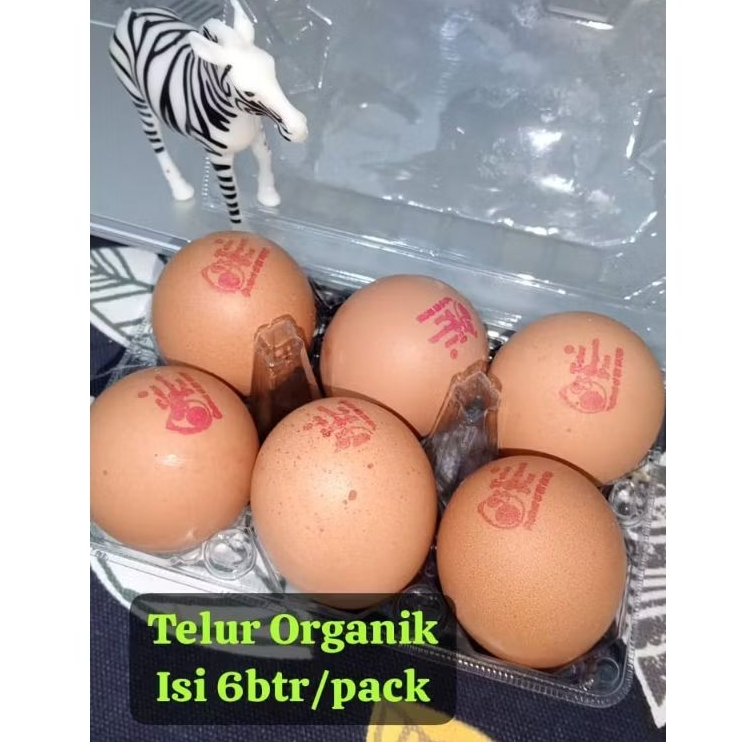 

TELUR ORGANIK PLUS ISI 6 BUTIR PER PACK