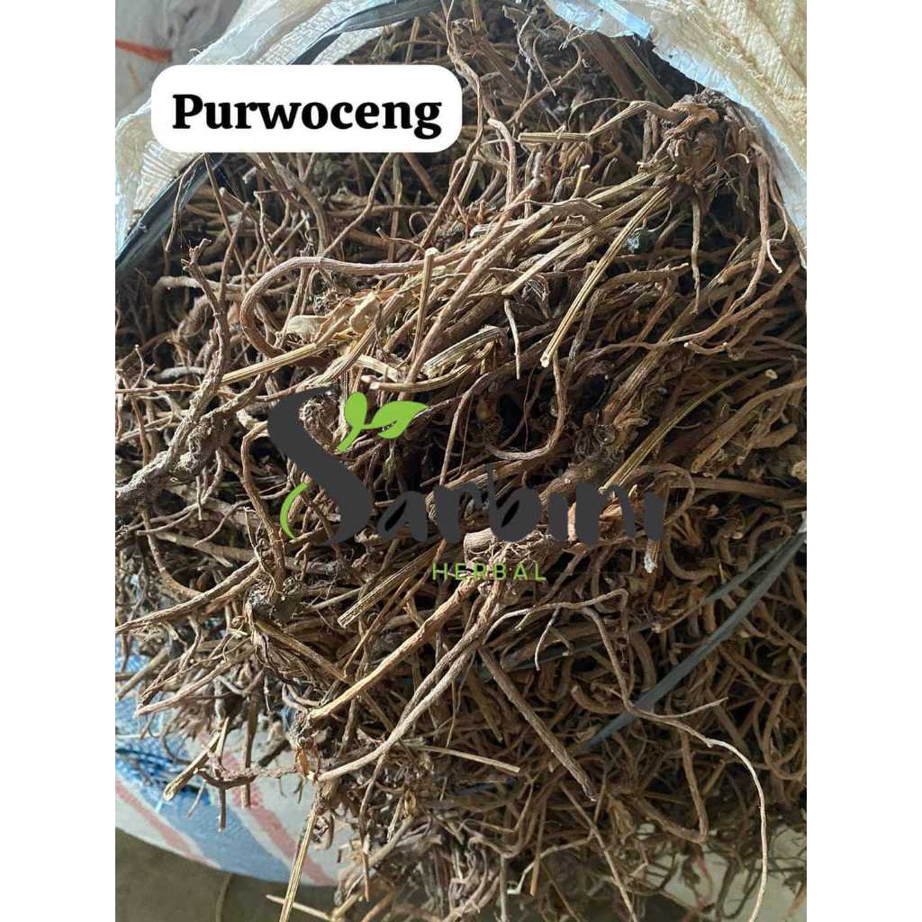 

Akar Purwoaceng Kering/Kering Akar Purwoaceng 500 gram / 1000 gram / Simplisia Kering Akar Purwoaceng Garansi Terjamin 100% Asli Murni / Bahan Akar Purwoaceng Kering / Bahan Akar Purwoaceng Premium / Jamu Herbal Akar Purwoaceng Tradisional