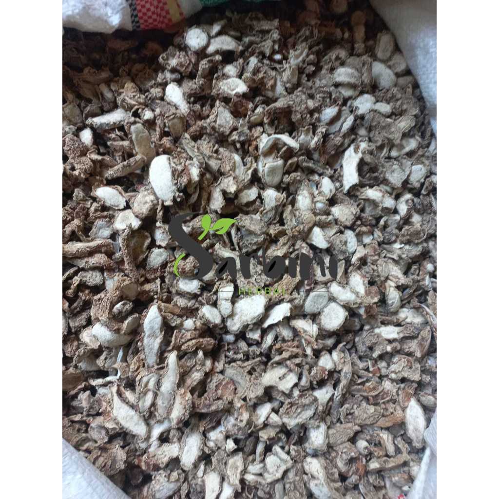 

Kencur Kering/Kering Kencur 500 gram / 1000 gram / Simplisia Kering Kencur Garansi Terjamin 100% Asli Murni / Bahan Kencur Kering / Bahan Kencur Premium / Jamu Herbal Kencur Tradisional Tanpa Bahan Pengawet