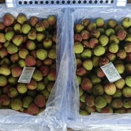 

Buah Leci Madu / Lychee