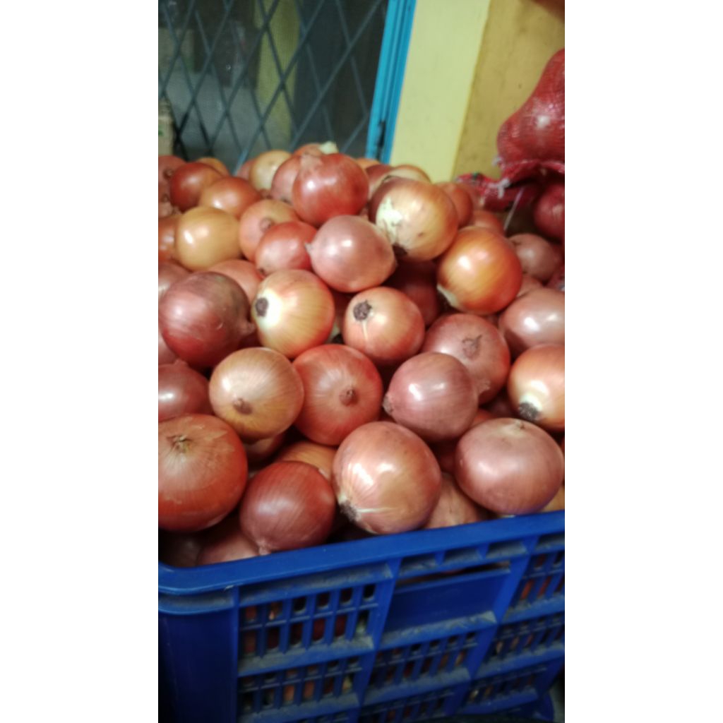 

BAWANG BOMBAY 250 GRAM / 1/4 KG