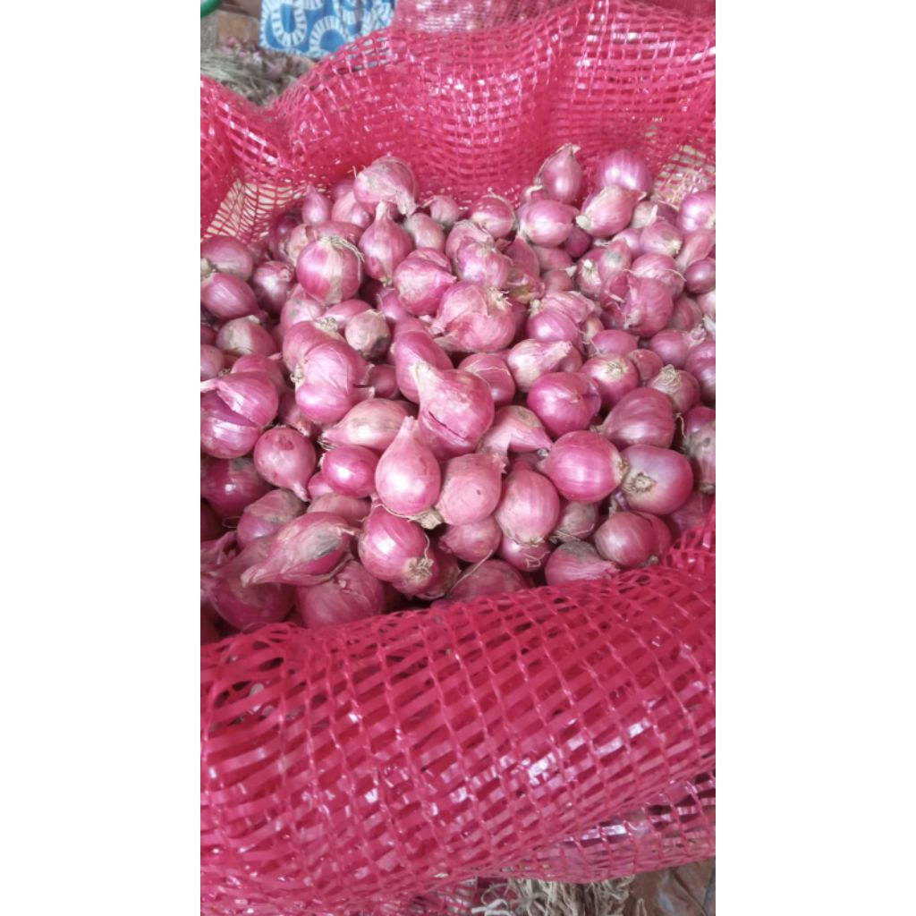 

Bawang Merah Brebes ( Brambang ) Segar dan Berkualitas