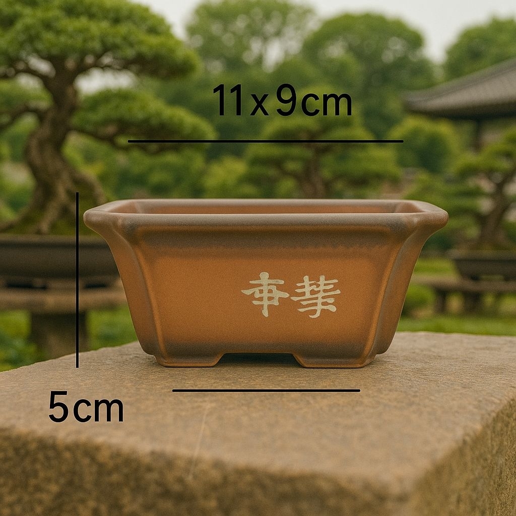 Mame Oval Bonsai Pot Keramik Bonsai Mini