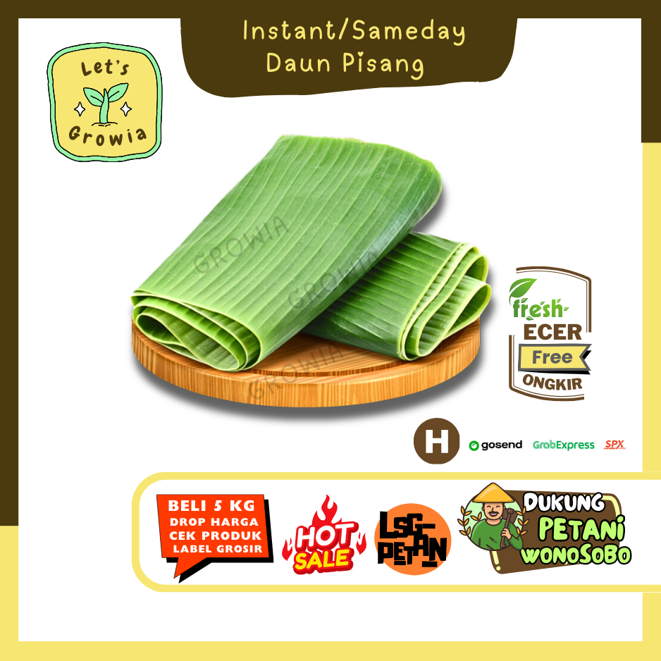 

Growia || Daun Pisang --Hasil Petani Langsung Ecer (H)