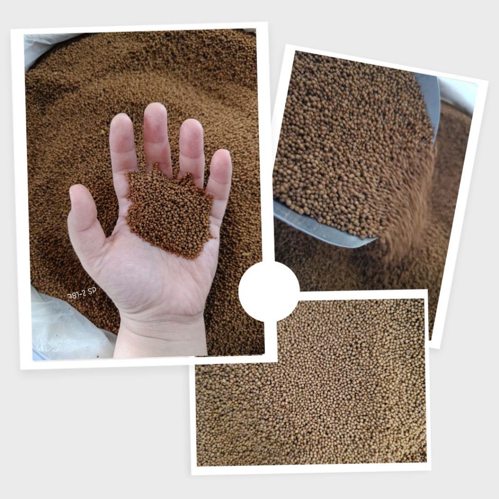 781 - 2 SP PAKAN IKAN LELE - MASA AWAL PRODUKSI - HI PRO VITE - PER 1 KG