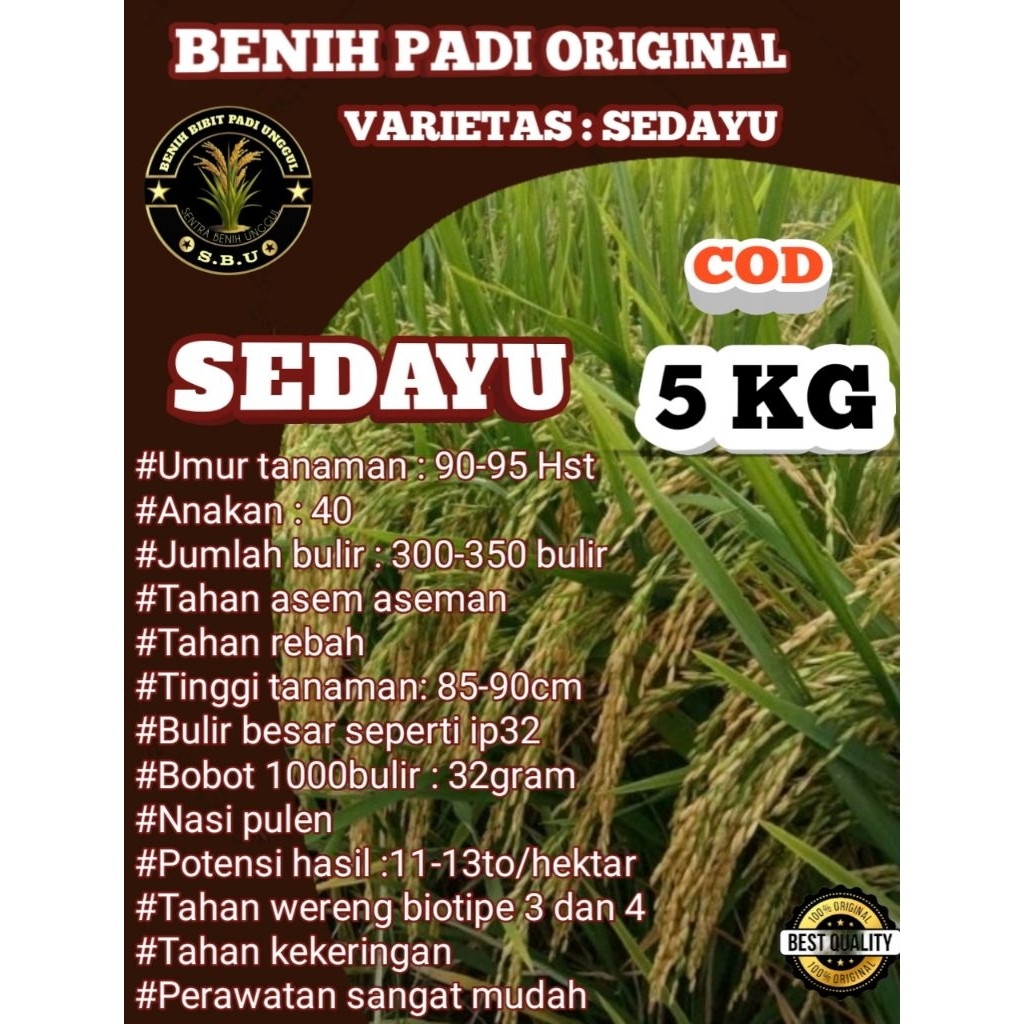 Benih Padi Sedayu Original Bibit Berkualitas Premium 5KG