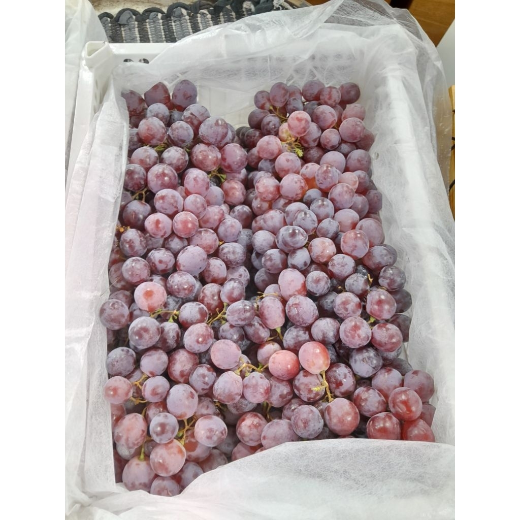 

Anggur 1 Kg