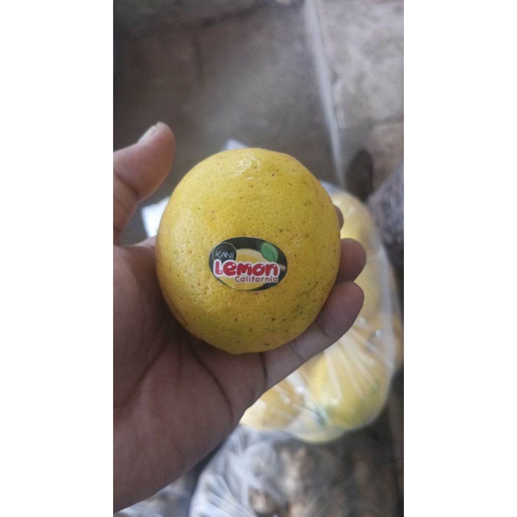

Jeruk lemon