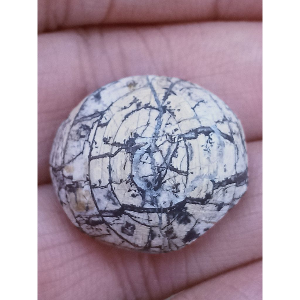 Batu Gading Anti Wisa Puser Bumi Mata Dewa Unik