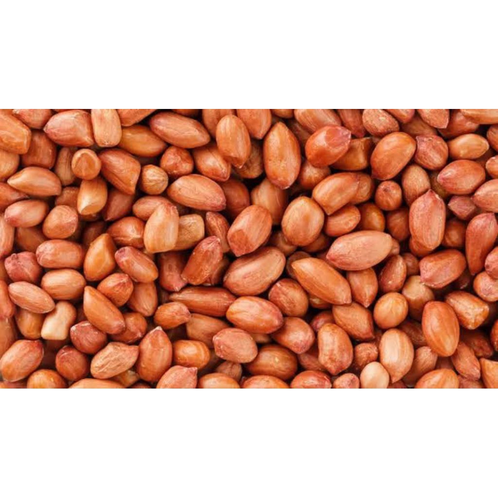 

kacang tanah