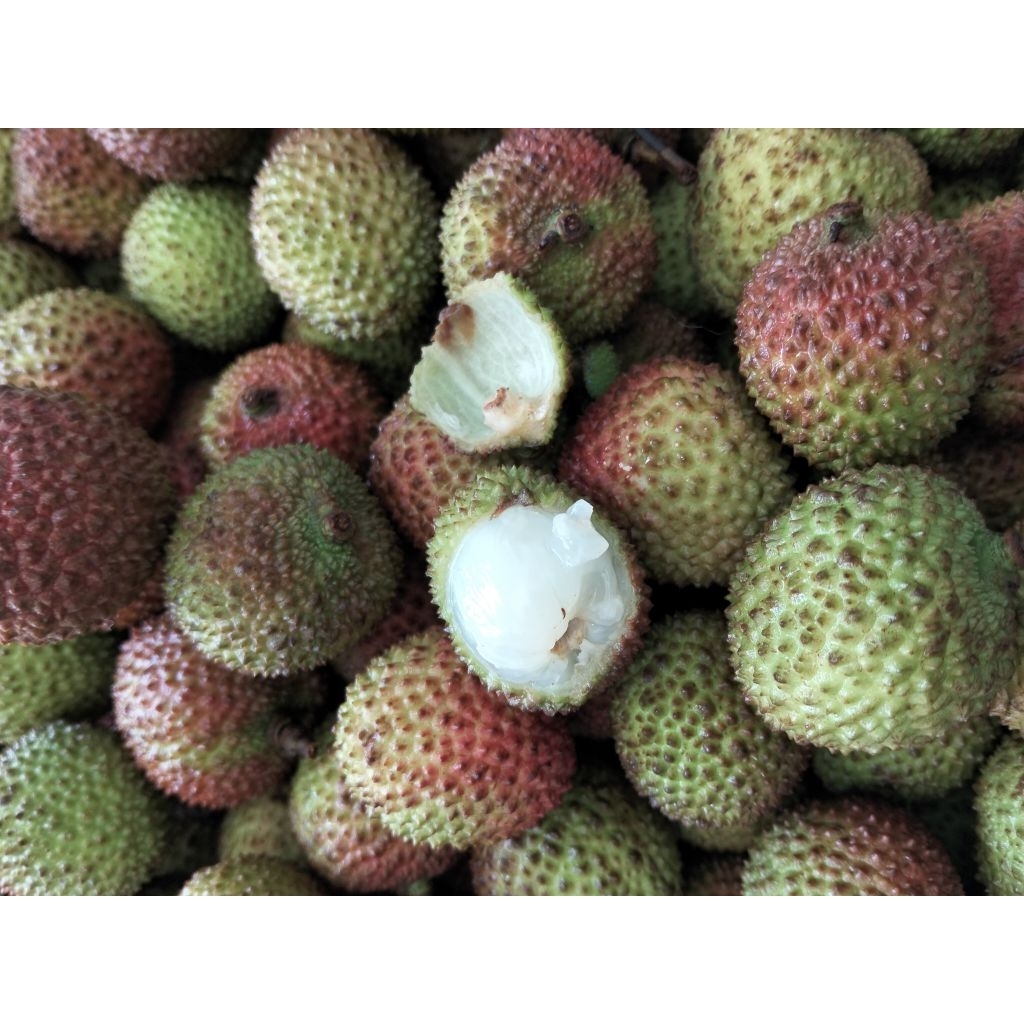 

Leci Madu Manis Murah