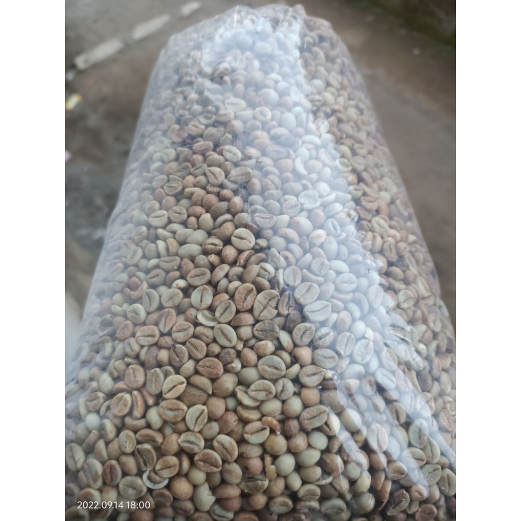 

biji kopi robusta pine G1