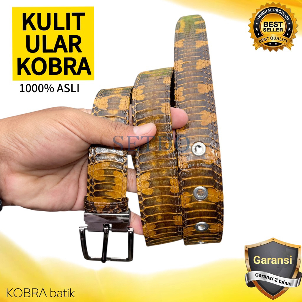 Sabuk kulit ular Ikat pinggang pria kulit asli 100% Original COD Gratis ongkir