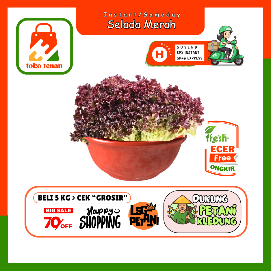 

Tokotenan // Selada Merah Lolorasa-- Sayur Gunung Ecer (H)