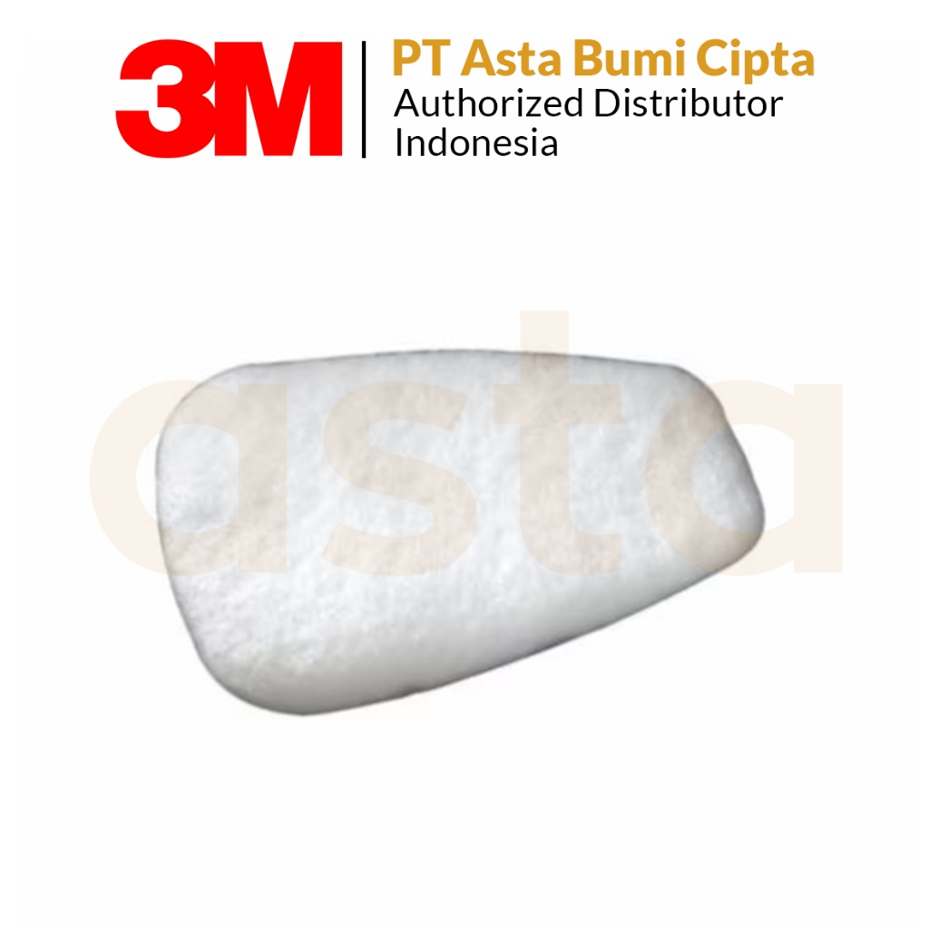 3M Particulate Filter 5N11 N95