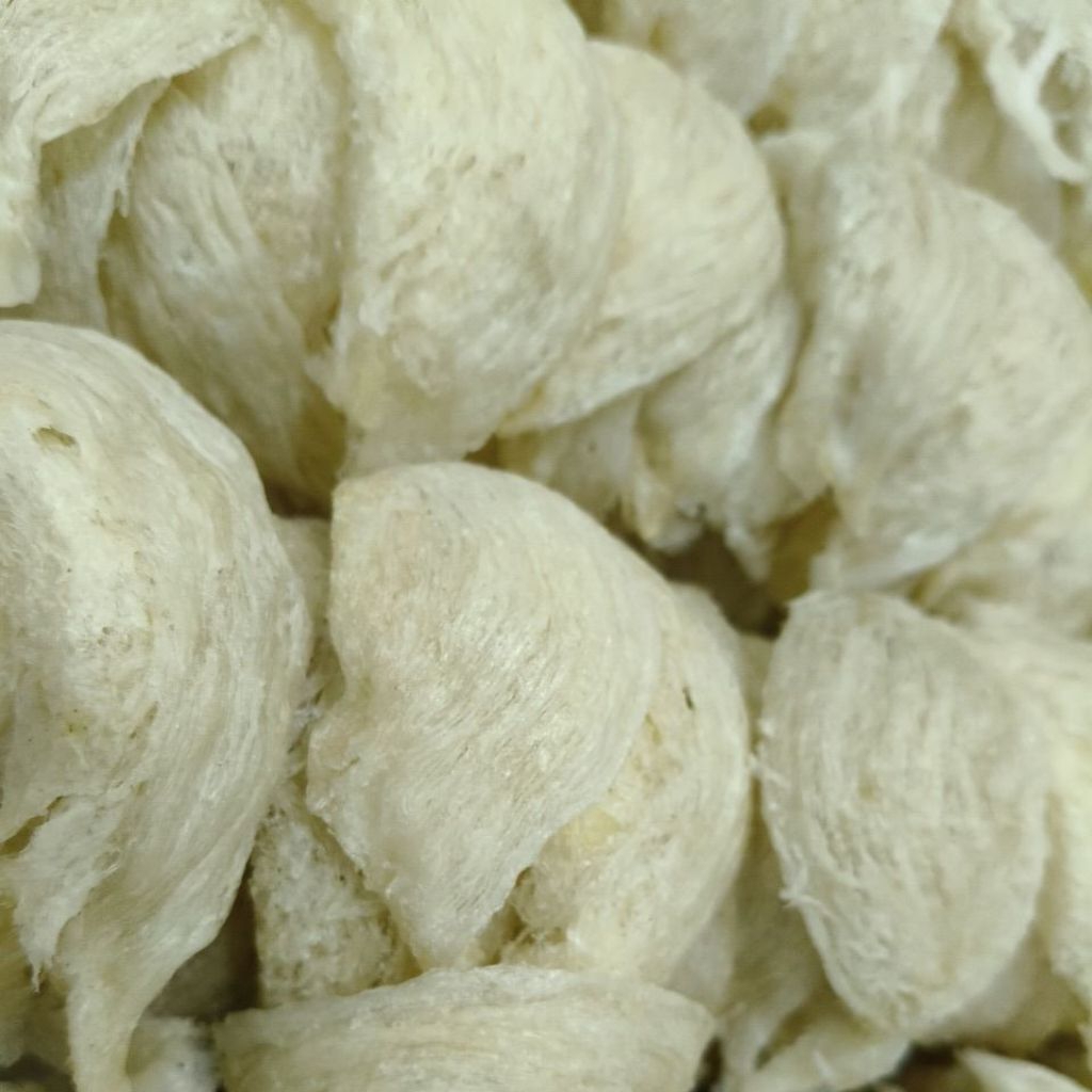 

sarang burung Wallet mangkok kualitas preminu beli 100 gr bru bs pke box bulat klau di bw 100 gr box mika biasa