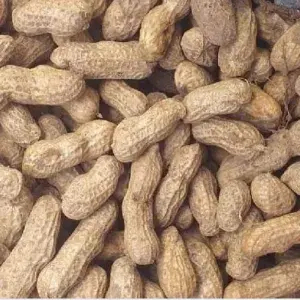 

KACANG TANAH KULIT MENTAH 500gram