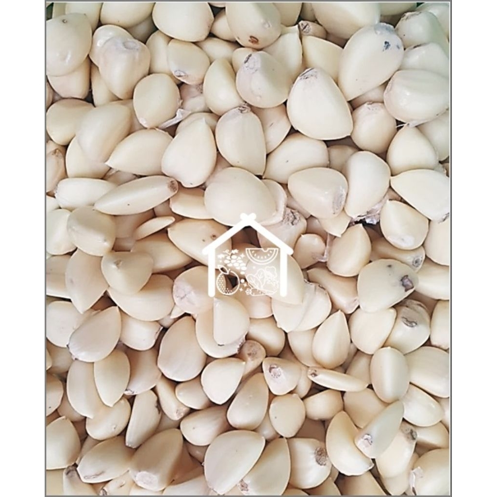 

Bawang Putih Kating Kupas 500 Gram Pilihan Hemat
