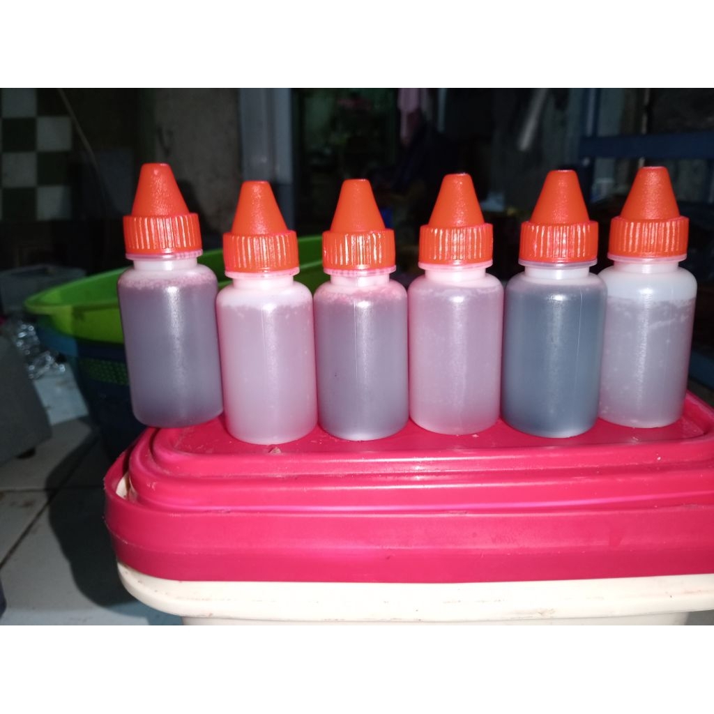 essen untuk ikan bawal media kacang presto