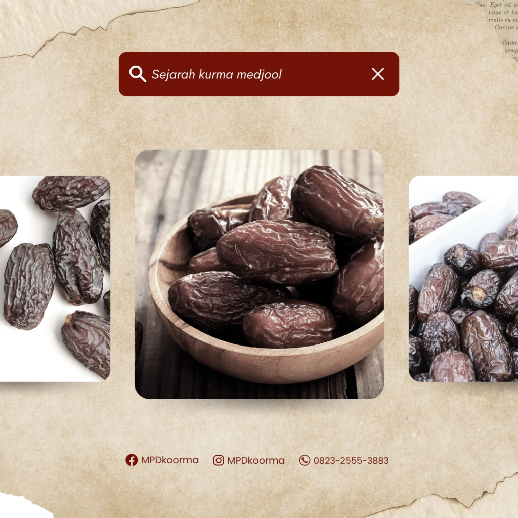 

Kurma Medjool Jumbo Palestine 250gr