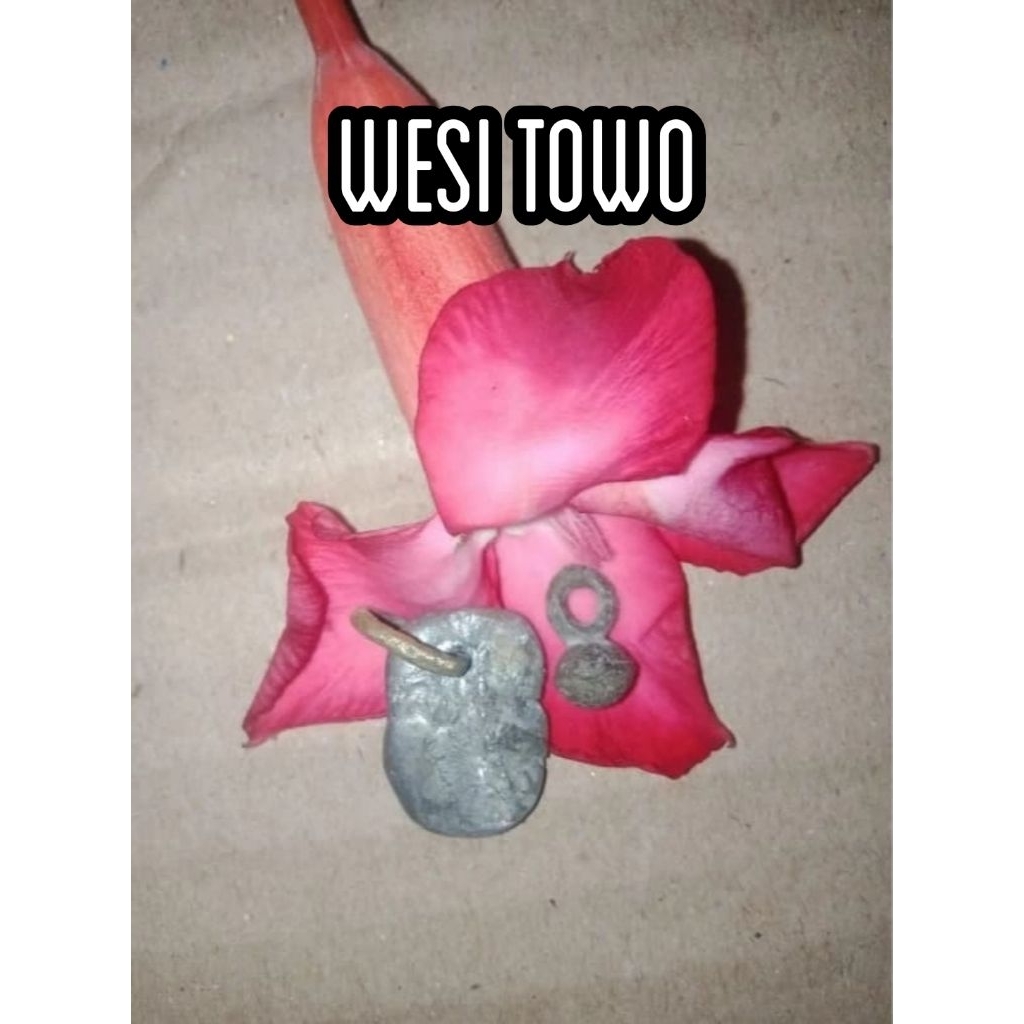 Sepasang WESI TOWO temuan