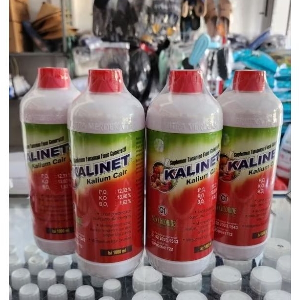 KALINET 1L 100% ASLI