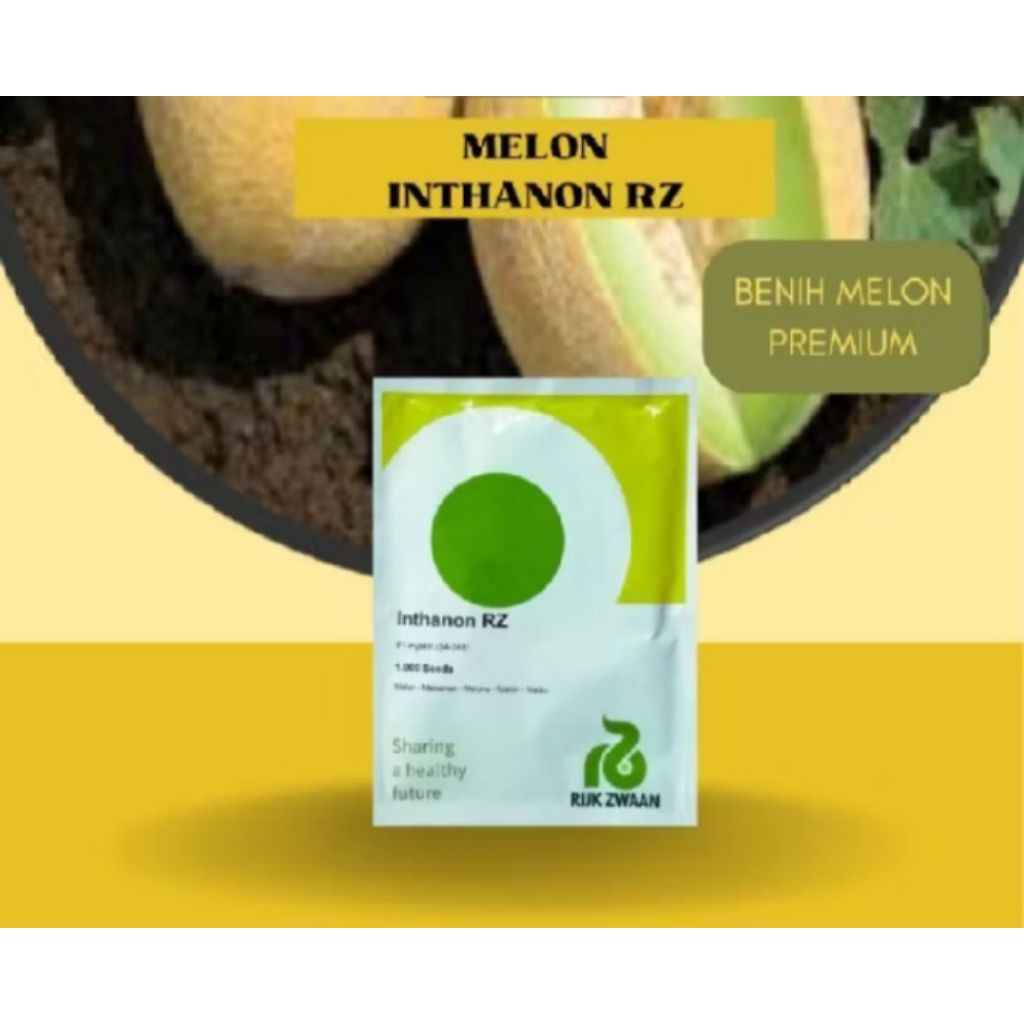 200 Seed Bibit Melon Premium Inthanon Original 100%