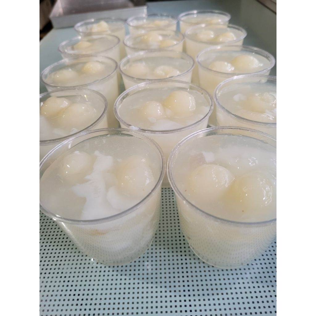 

puding kelapa longan 200ml