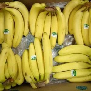 

Pisang Cavendish Sunpride 1kg
