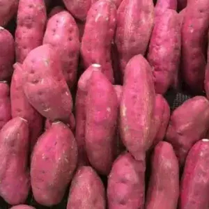 

UBI MERAH / BOLED MERAH 1 KG