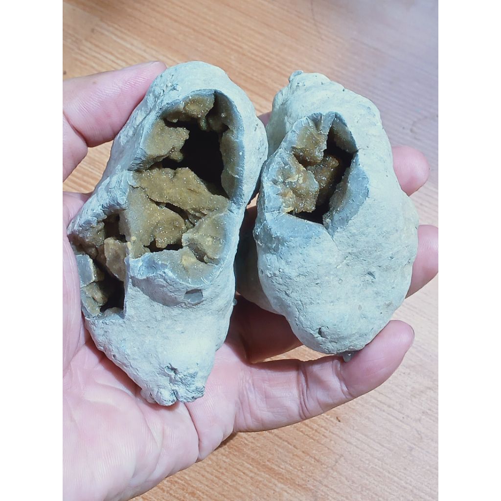 Dua Bongkah Batu Posil ManiGajah Natural