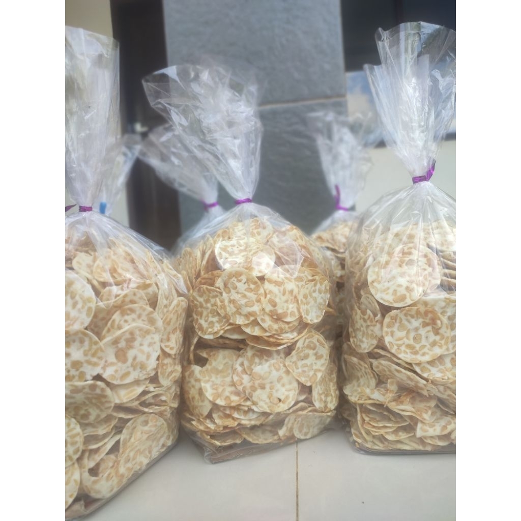

KERIPIK TEMPE SAGU