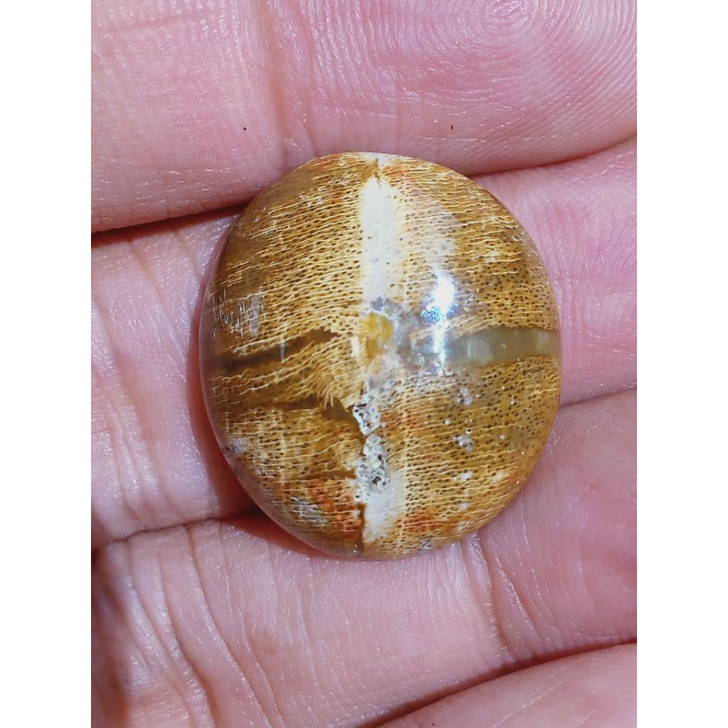 Batu Posil Kelor Emas Tapak Jalak Antik